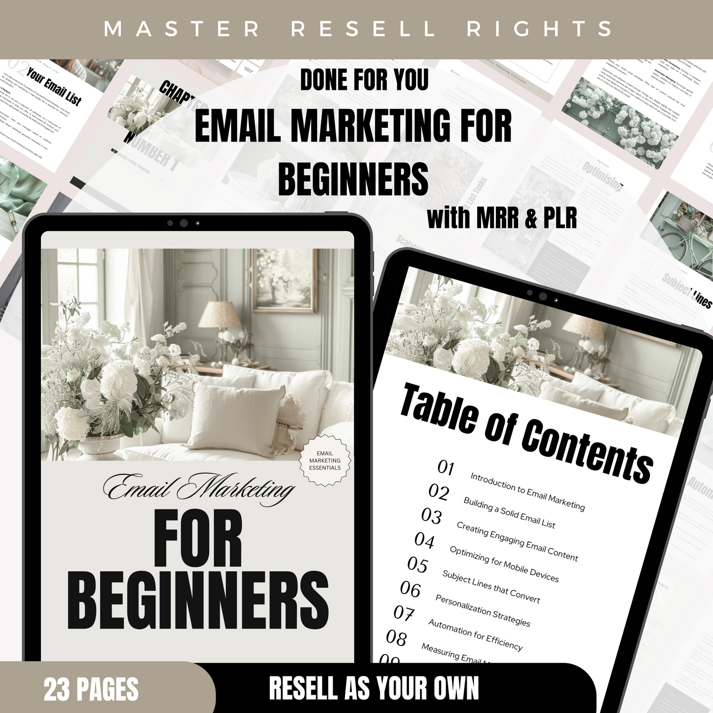 Email Marketing for Beginners with MRR & PLR